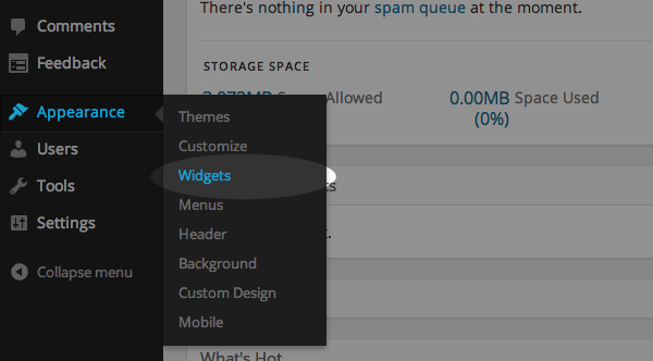 Select Appearance and then Widgets