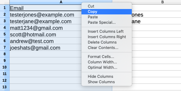 Copy the email column