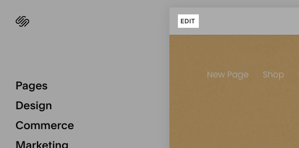Screen_Shot_2021-02-06_at_1.34.22_PM.png