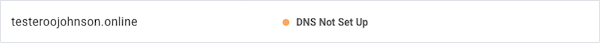 DNS Not Set Up Example
