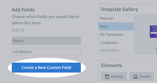 Create a New Custom Field button