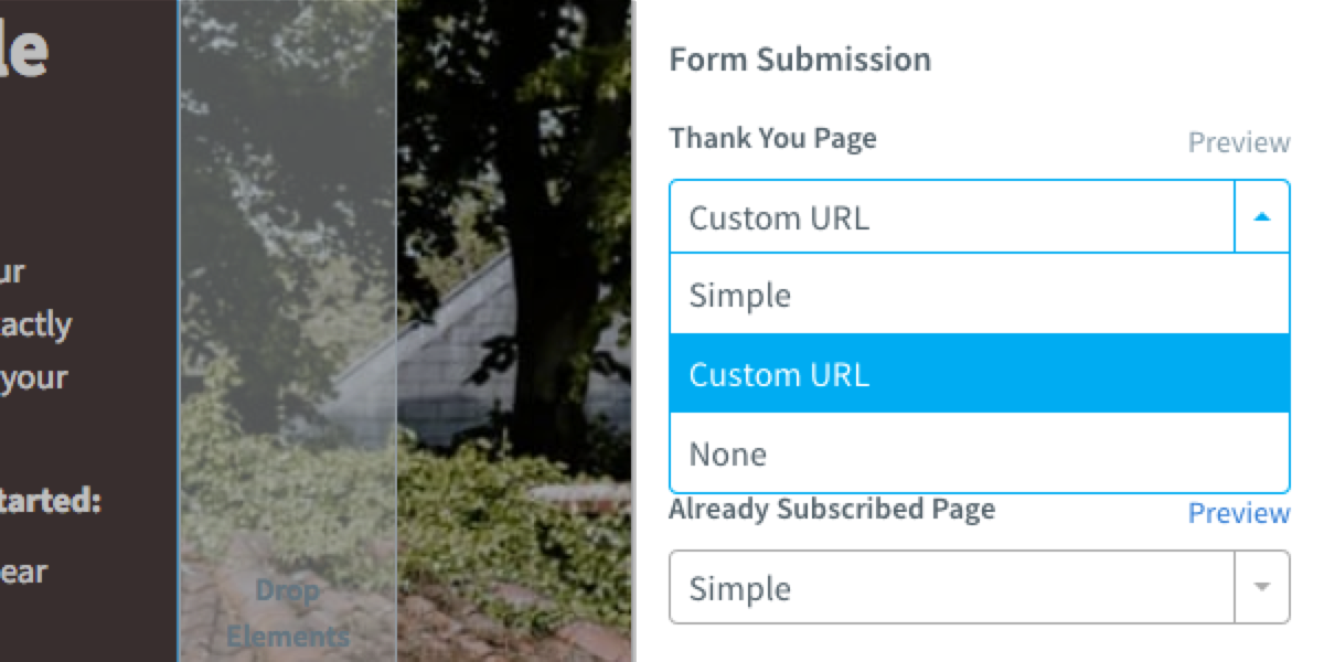 Choose from the different thank you page options