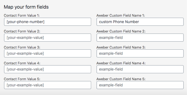 Map custom fields
