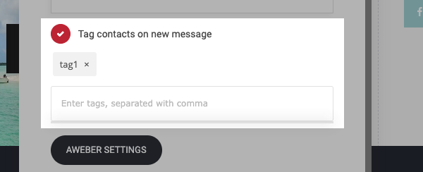 Add Tags to AWeber through form settings