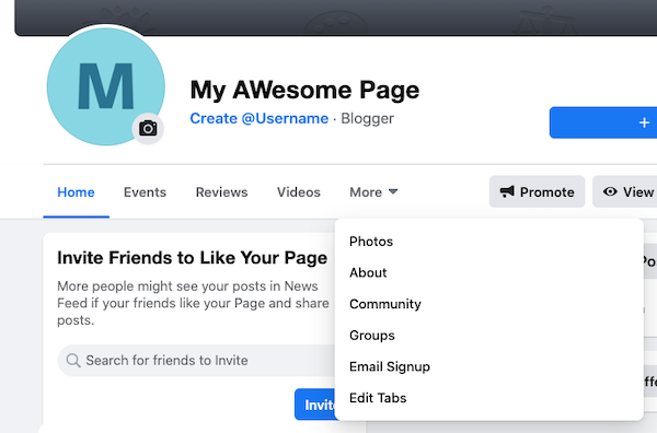Locate Email Signup Under More