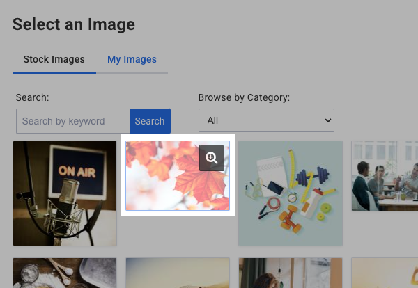 Select an Image