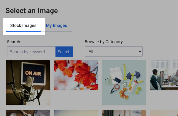 Click Stock Images to access the stock gallery