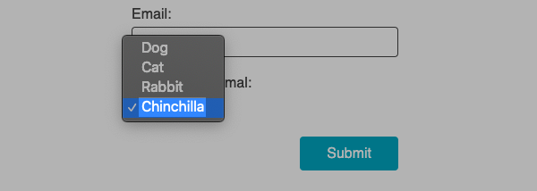 Chinchilla selection