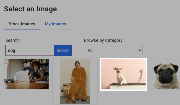 How do I search for images in the Stock Image Gallery? – AWeber ...