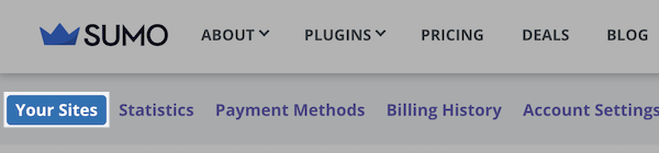 Your Site Button is highlighted