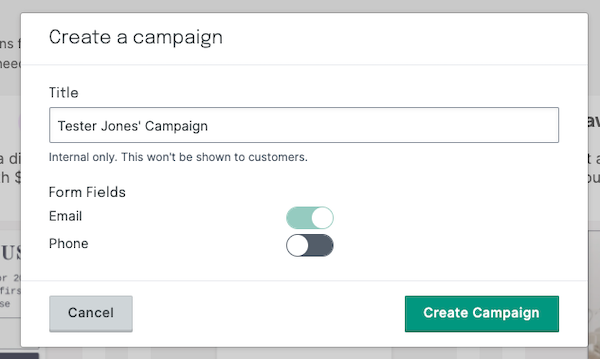 Name and create the campaign