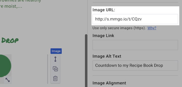 Enter the URL in the Image URL input box