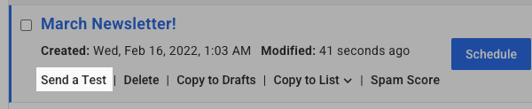 Click Send a Test underneath the subject line of the draft