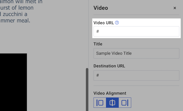 Video URL Field