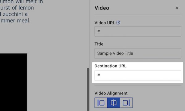 Destination URL Field