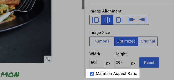 Maintain Aspect Ratio Checkbox