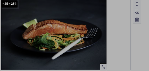 Image dimentions displayed on image