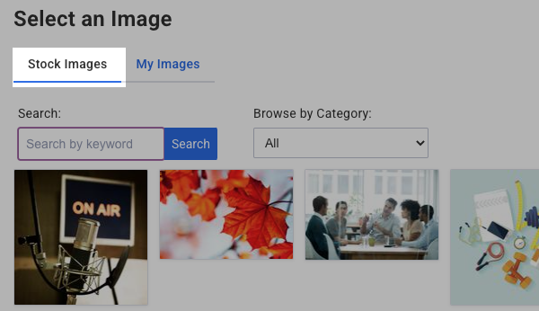Click the Stock Images tab to view the available stock image