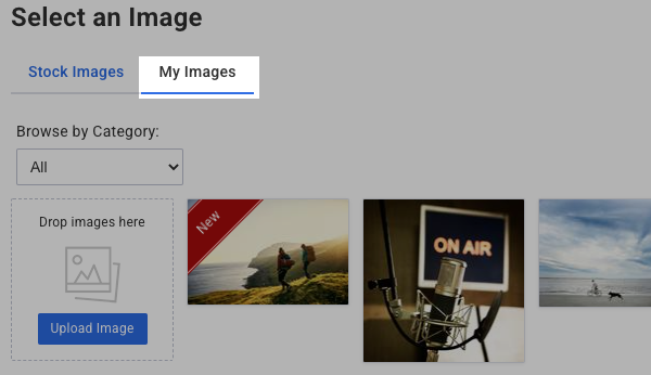 A copy of the stock image will be saved under the My Images tab for future use