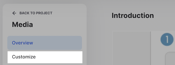 Click Customize