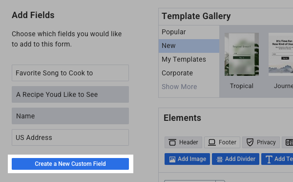 Click Create a New Custom Feild button