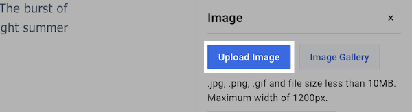 Image Upload Options
