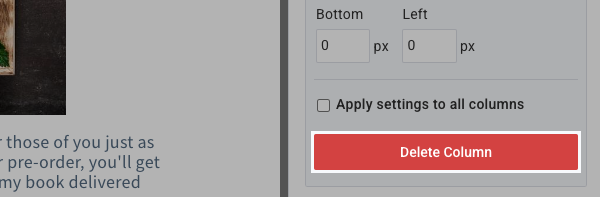 Delete Column Button