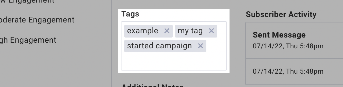 Tags section of the subscriber profile