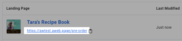 Example of a custom subdomain and page path